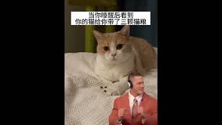 【黄桃不是猫】睡醒就有吃的？泰裤辣！