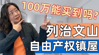 [视频看房] 100万在大多伦多列治文山可以买到怎样全新装修的自由产权房产呢？| 联排别墅 | 多伦多房地产