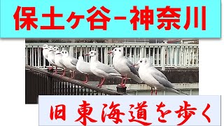 旧東海道を歩く　保土ヶ谷宿～神奈川宿