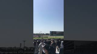 【おかえり京都競馬場！！】京都競馬場リニューアルオープン初日第1Rファンファーレ#Shorts