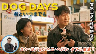 韓国映画「DOG DAYS 君といつまでも」