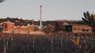 Penfolds Cellar Reserve