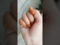 I have four fingers #hand #challenge #finger #funny #shortsfeed