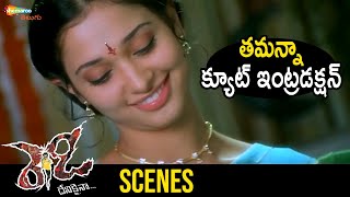 Tamannaah Cute Introduction | Ready Telugu Full Movie | Ram Pothineni | Genelia | Shemaroo Telugu