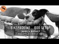 How I travel with my dog while bikepacking around the world.  Mira’s dogpacking set-up 🐕🤗💕