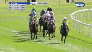 Postponed by Dubawi wins the G1 Juddmonte International Stakes at York