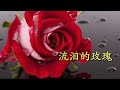 流泪的玫瑰~望海高歌