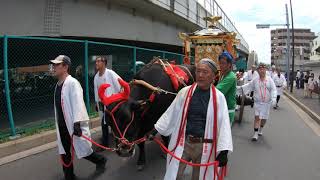 令和元年  　羽田神社　「羽田祭り」行列先頭「 ３０年振り鳳輦 」本物の牛で引っ張って　お練り　江戸木遣りも（生）。