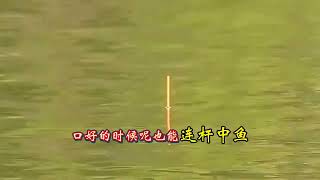 越野越钓：探钓山东日照五莲墙夼水库，大水面翘嘴开口