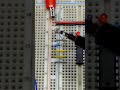 10k Photodiode 74HC14 IC Hex Schmitt Trigger NOT Gate demo Integrated Circuit #electronics #howto