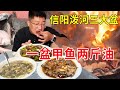 河南信阳，光山乡镇美食泼河三大盆，一盆甲鱼两斤油，够味够香#麦总去哪吃