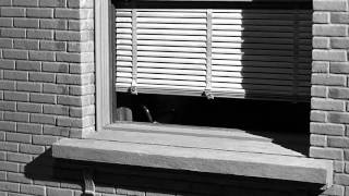 Psycho (Opening Scene)