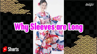 How Women Dumped Men With Kimono Sleeves in Japan #Shorts