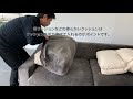 ソファカバーの取り付け方法をご紹介