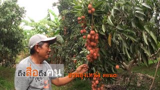 รายการถึงสื่อถึงคน สวนลุงเหน่ง(ตอน๓)อัมรินทร์ ดินสีทอง//สามอาชีพฯ