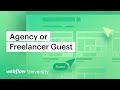 Build and manage your client's sites using Agency or Freelancer Guest - Webflow Tutorial
