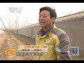 科技苑 《科技苑》 20140407 高架育苗头一遭