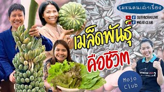 เมล็ดพันธุ์ คือชีวิต | ชุมชนคนเล่าเรื่อง EP188