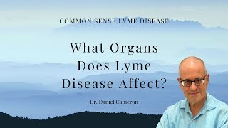 What Organs Does Lyme Disease Affect?