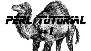 Perl Video Tutorial #1