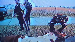 Cops Save Horse from Ditch