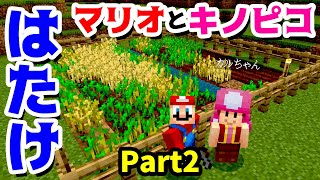 【ゲーム遊び】Part2 マリオとキノピコの畑 マリオのサバイバルでマイクラ【アナケナ\u0026カルちゃん】Minecraft