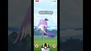 我在新加坡遇到基格爾德和伽勒爾急凍鳥 #pokemongo #pokemon #新加坡