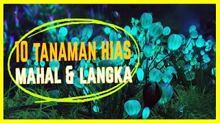 Wow ini Dia! 10 Jenis Tanaman Hias Mahal dan Langka, Seharga Emas