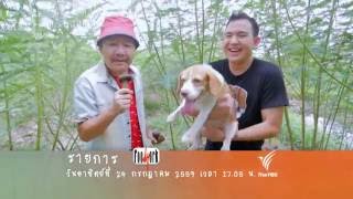 TV SPOT FOODWORK :  เห็ดตับเต่า : ต้อย หมวกแดง