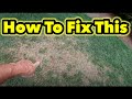 How To and How I Will Fix My Lawn This Fall