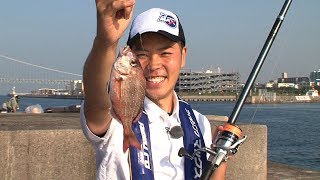 手軽にファミリーフィッシング　波止で5魚種釣りにチャレンジ！（四季の釣り/2019年6月21日放送）