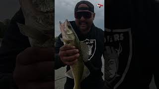 Lockport, MB - Quick Fish