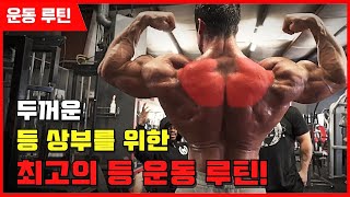 ㅁ 클래식 피지크 프로가 말하는 등 상부를 위한 최고의 운동!