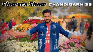 Chandigarh Terrace Garden Sector 33 |IBeautiful Garden 🪴 Flowers Show 2024 #chandigarh