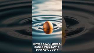 水に入れて浮くかどうかで卵の鮮度チェック#ライフハック　#LifeHacks　#生活改善