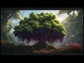 The magical and mystery of Elder Tree's