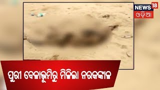 ପୁରୀ ବେଳାଭୂମିରୁ ଉଦ୍ଧାର ହେଲା ନରକଙ୍କାଳ | NEWS18 ODIA NEWS@4 | 16 SEPT 2018