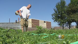 Jail Gardening Program