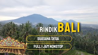 Rindik Cinta yang Mengalir di Desa Bali untuk Resepsi Elegan | Recorded with a Drone