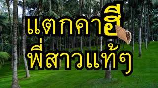 เรื่องสั้น นิยายเสียง ฝนตกกลางใจ🐰🤍