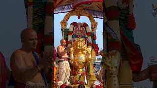 Malayappa Swamy on Golden Simha Vahana, Tirumala. #tirumala,#govinda,