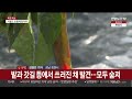 계속되는 불볕더위…온열질환 추정 사망자 속출 연합뉴스tv yonhapnewstv