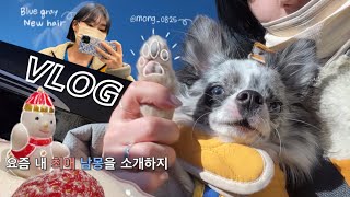 [VLOG] 내 최애 몽이🐶 외출영상에 나의 일상을 살짝 담은 브이로그😏 | 좋아하는 사람들 만나기 정신없던 한달~💝