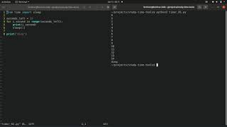 Intro to Python chapter 2.1, Building a timer