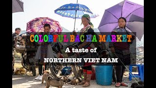 COLORFUL BAC HA MARKET - A TASTE OF NORTHERN VIETNAM | ANT TOURGUIDE #anttourguide  #bacha #sapa