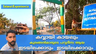 KAVVAYI || EDAYILAKKAD || കവ്വായി കായലും കുരങ്ങൻമാരുടെ പറുദീസ ആയ ഇടയിലക്കാടും  ഇടയിലക്കാവും