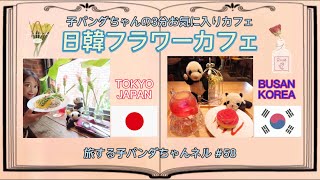 #58 子パンダちゃんの3分お気に入りカフェ　日韓フラワーカフェ　編【旅する子パンダちゃん】