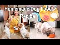 TASTY + HEALTHY Homemade Dog food | HOMEMADE dog food recipe | Non-Veg and Veg Dog food