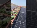 🌿🌿 dry solar panel cleaning robot 🌿🌿