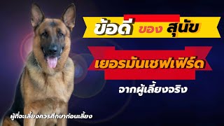 Advantages of German Shepherd Dogs